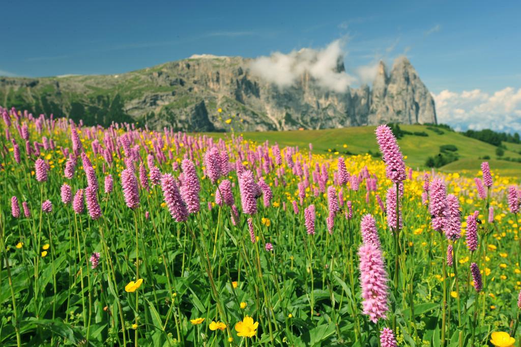 Garni Alpin Hotel Seis am Schlern Buitenkant foto